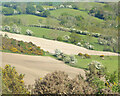 Caeau ar Fynydd y Cwm / Fields on Mynydd y Cwm