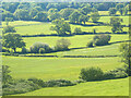 Caeau ger Rhuallt / Fields near Rhuallt