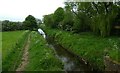 Foss from Strensall New Bridge