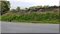 Grass verge with brambles on NW side of Brown Bank Lane