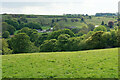 Field above Hodgelane Brook