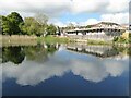 Reflections in a pool