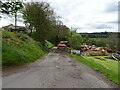 Track to saw mill, Carronbridge