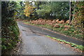 Street End Lane, Pottens Mill Lane