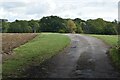 Track to Guildables Park Farm