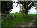 Field entrance off the A76, Portrack