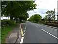 Bus stop and shelter on the A76, Holywood