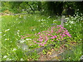 West Norwood Cemetery