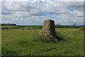 ST9552 : Trig Point on Stoke Hill by Chris Heaton