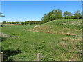 Rough pasture on Shotts Road