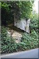 Roadside outcrop of Tunbridge Wells Sandstone