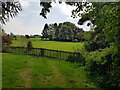 Manicured lawn next to a garden on Runcton Lane