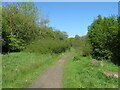 Path through woodland at Eastfield