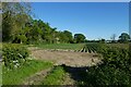 Field beside the Stamford Bridge Road