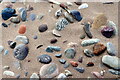 NO7463 : Pebbles in sand, St Cyrus by Andrew Curtis