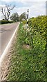 A6071 approaching Longtown from SE at Brisco Hill