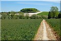 Farmland, Shalbourne