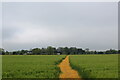 Footpath heading towards the Poultry Houses of Paradise Farm