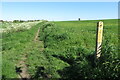 Footpath to Chapel Farm