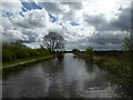 Llangollen Canal approaching Roving Bridge