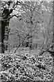 TQ5742 : Snowscene, Southborough Common by N Chadwick