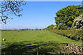 Pasture beside the A168 Dual Carriageway