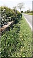 Parapet of Faudmill High Bridge on SW side of A7 at junction with footpath