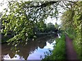 Coventry Canal, Coalpit Field, looking towards Bridge no. 14