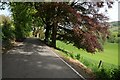 Country road above the River Dee