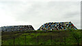 Whisky barrels, Beith