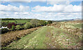 West Devon Way at West Blackdown