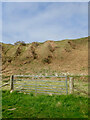 ND1629 : Ribbed slopes, Balcladich by Mick Garratt