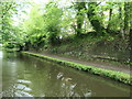 Cutting on the Bridgewater Canal, Lymm