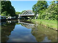 Chester Road Bridge [No 10], from the east