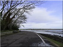 TQ7869 : The Saxon Shore Way by Gillingham Marshes by Steve Daniels