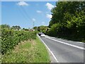 Wraxall Hill on the A37