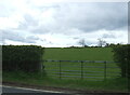 Field entrance off the B7081 near Holm Bridge