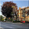 Evening sunlight, Cherry Hinton Road