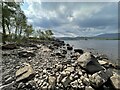 NN5557 : The shoreline of Loch Rannoch by Graham Hogg