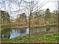 SO6040 : The Lake, Stoke Edith Park by Philip Pankhurst