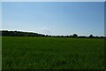 SE5446 : Farmland south of a bridleway by DS Pugh