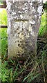 Benchmark on stone gatepost at field gateway on SE side of Cliff Road