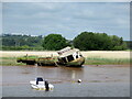 SX9687 : Boat wreck on the River Exe by Roy Hughes