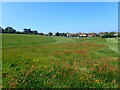 The edge of Seaford Head Golf Course