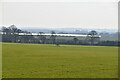 Pasture, Greensand Ridge