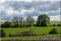 Fields off Hackmans Gate Lane