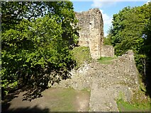 SJ2867 : Ewloe Castle by Philip Halling
