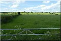 Field north of Leathley Lane