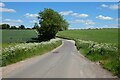 SU7047 : Road and farmland, Upton Grey by Andrew Smith