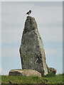 Staney Hill Standing Stone